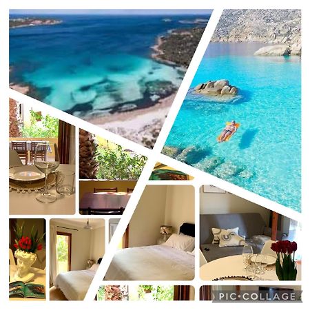 Nest House - Esclusivo Appartamento Marina Di Olbia- Mater Olbia - Beaches - Close To The Airport - Private Parking- Full Comforts - Zewnętrze zdjęcie