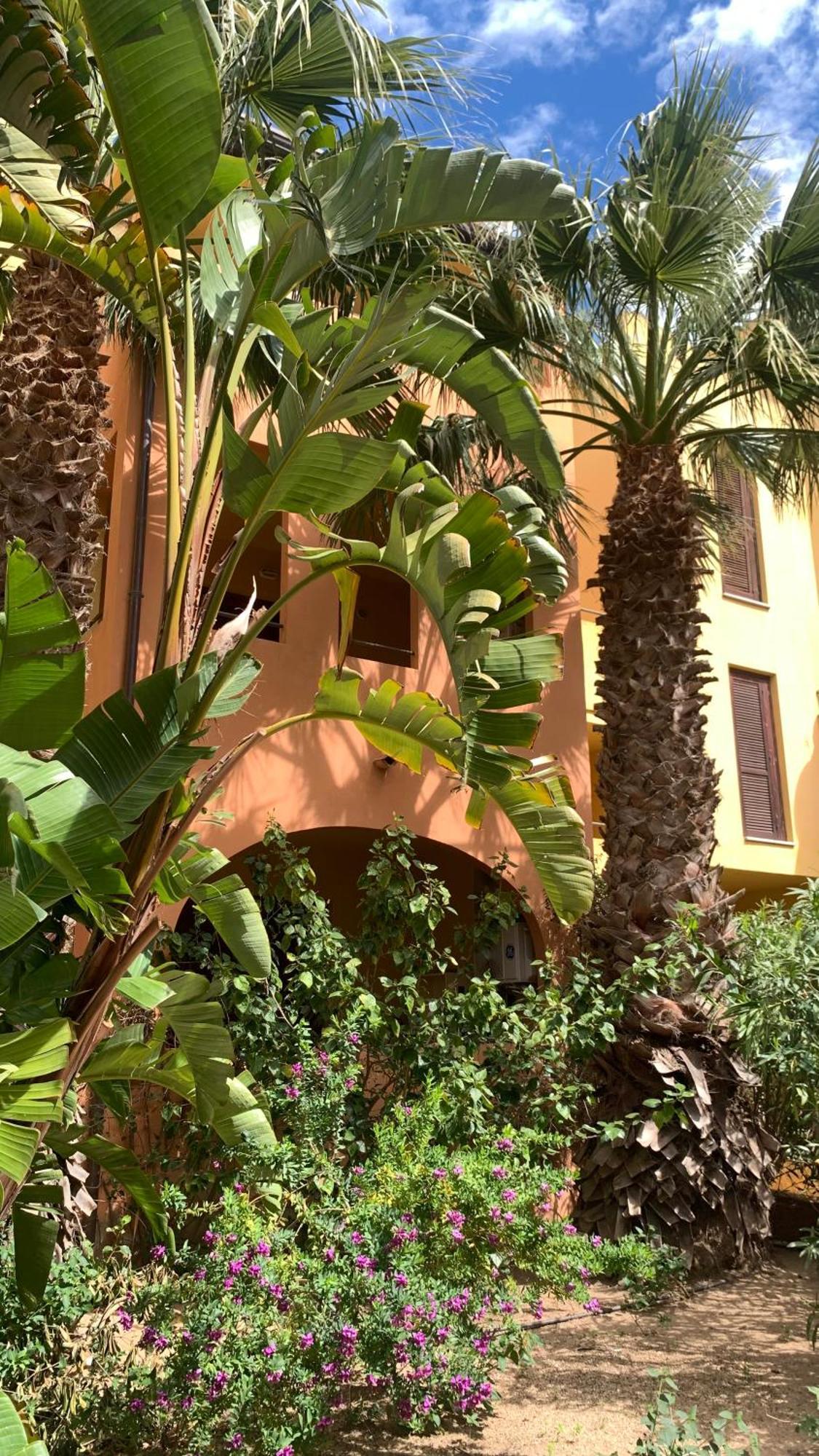 Nest House - Esclusivo Appartamento Marina Di Olbia- Mater Olbia - Beaches - Close To The Airport - Private Parking- Full Comforts - Zewnętrze zdjęcie