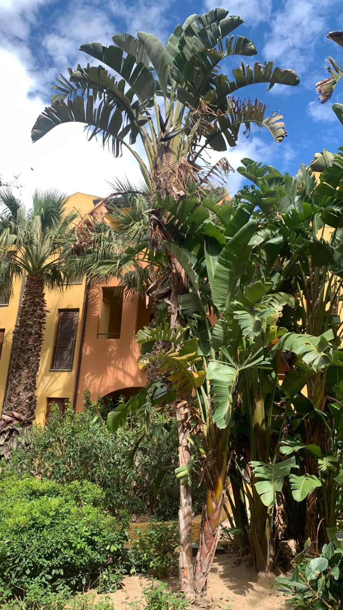 Nest House - Esclusivo Appartamento Marina Di Olbia- Mater Olbia - Beaches - Close To The Airport - Private Parking- Full Comforts - Zewnętrze zdjęcie